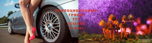 кристаллы Гусиноозёрск