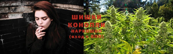 мяу мяу кристалл Гусь-Хрустальный